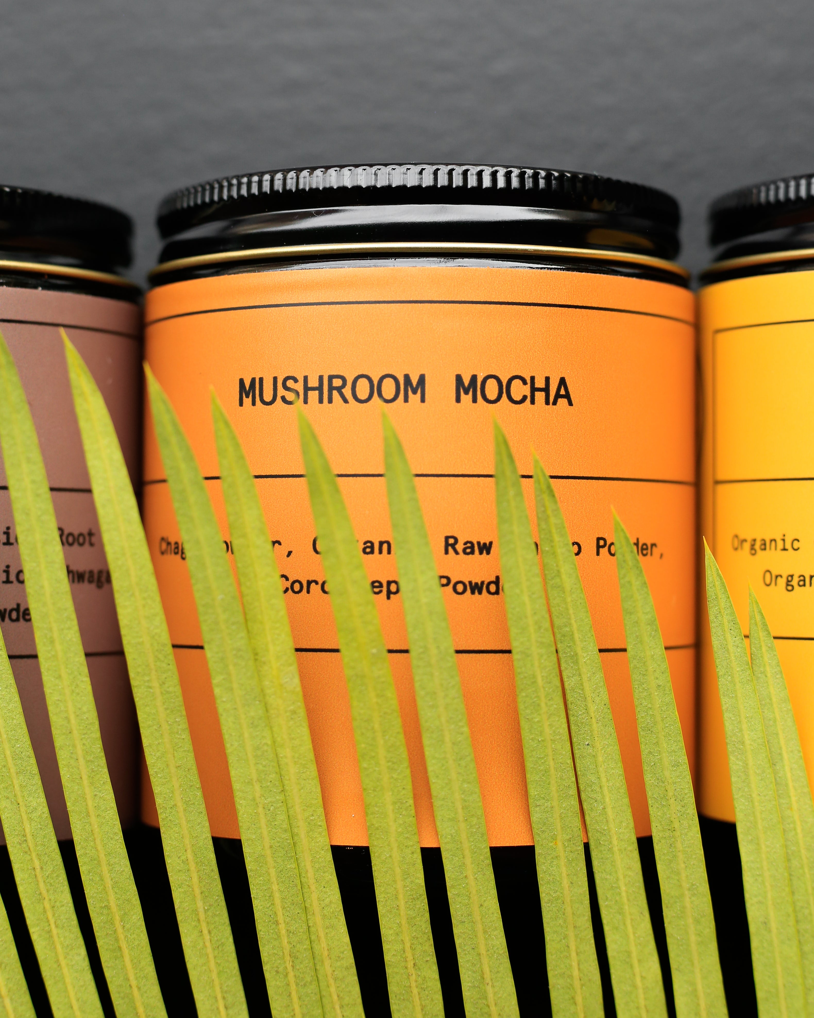 Mushroom Mocha Elixir